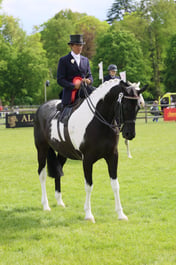 S29_1962 2026