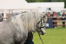 S29_0442 2026
