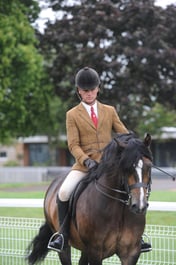 263 HOYS M&M Ridden Welsh C