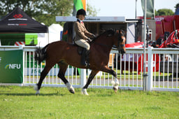 W33_0664 2026