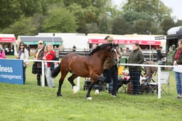 E29_0206 2026
