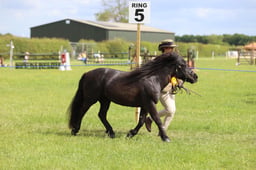 J36_7732 2026