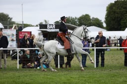 E30_5214 2026