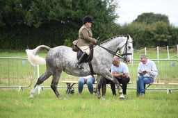 70 LIHS Samll & LWT Hunter