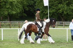 E31_1519 2026