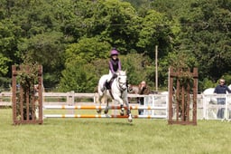 H172 Arena Eventing 70cm