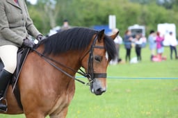 W36_1314 2026