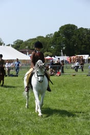 E33_5072 2026