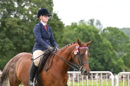 H232 HOYS Ridden Diamond Veteran