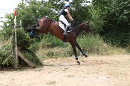 C56_0783 2026