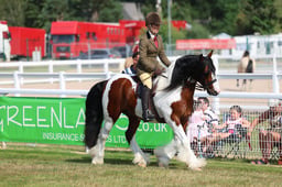 339 Native Ponies