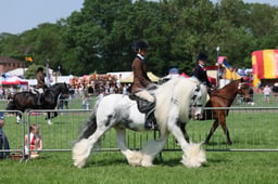 C33_1293 2026