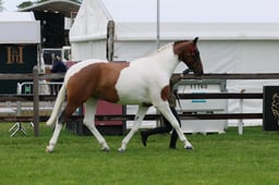 S28_9639 2026