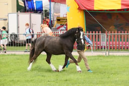 E34_2949 2026