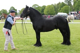 W29_1254 2026