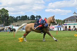A68_2832 2026