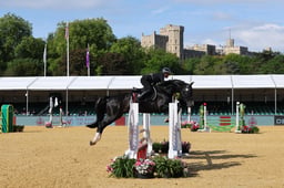17 FORCES EQUINE KENT POLICE TEAM