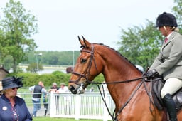 F34_2001 2026