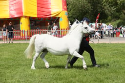 E34_1599 2026