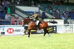 E68_4183 2026