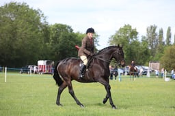 W36_2507 2026