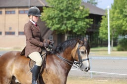 101B M&M Ridden Welsh SecƟon C