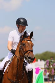 Fledder Z