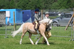 113 RIHS M&M Lead Rein