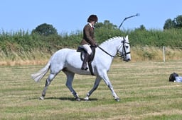 S60_0689 2026