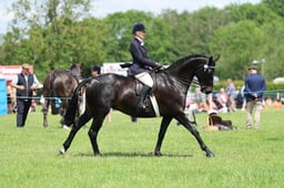 H36_8576 2026