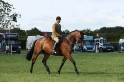 E36_0413 2026