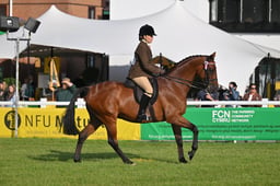 A68_0127 2026