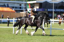 H46_5514 2026