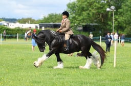 H36_7525 2026