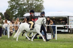 106-104 Pretty Polly Championship