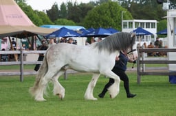S28_9429 2026