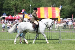 40-39 Ridden Cob Championship