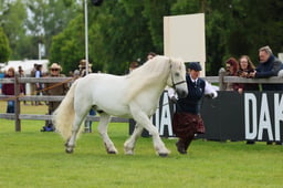 S29_0604 2026