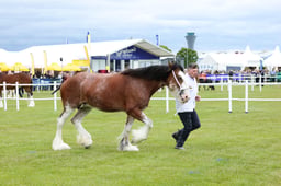 F44_0533 2026