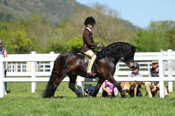 H19_0676 2026