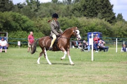 W36_1815 2026