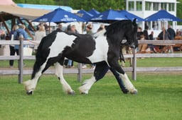 S28_9417 2026