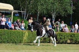 S61_0848 2026