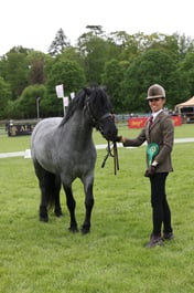 W29_0705 2026