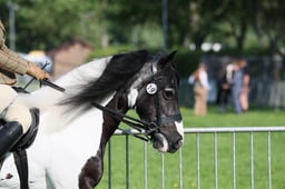 C33_0584 2026