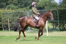 M36_2747 2026