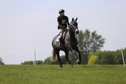 14 TAWSTOCK NORA