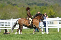 H19_0694 2026
