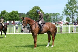 F34_2008 2026