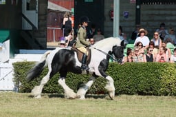 S61_0673 2026